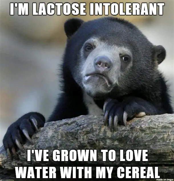 I'm a lactose intolerant beginner